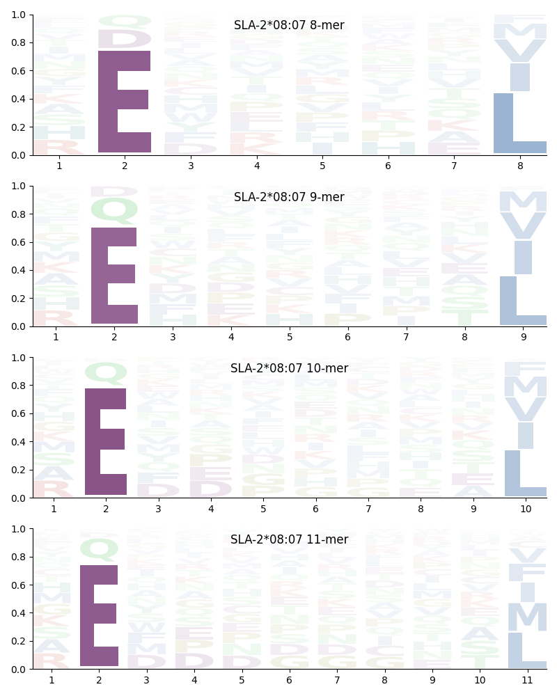 SLA-2*08:07 motif