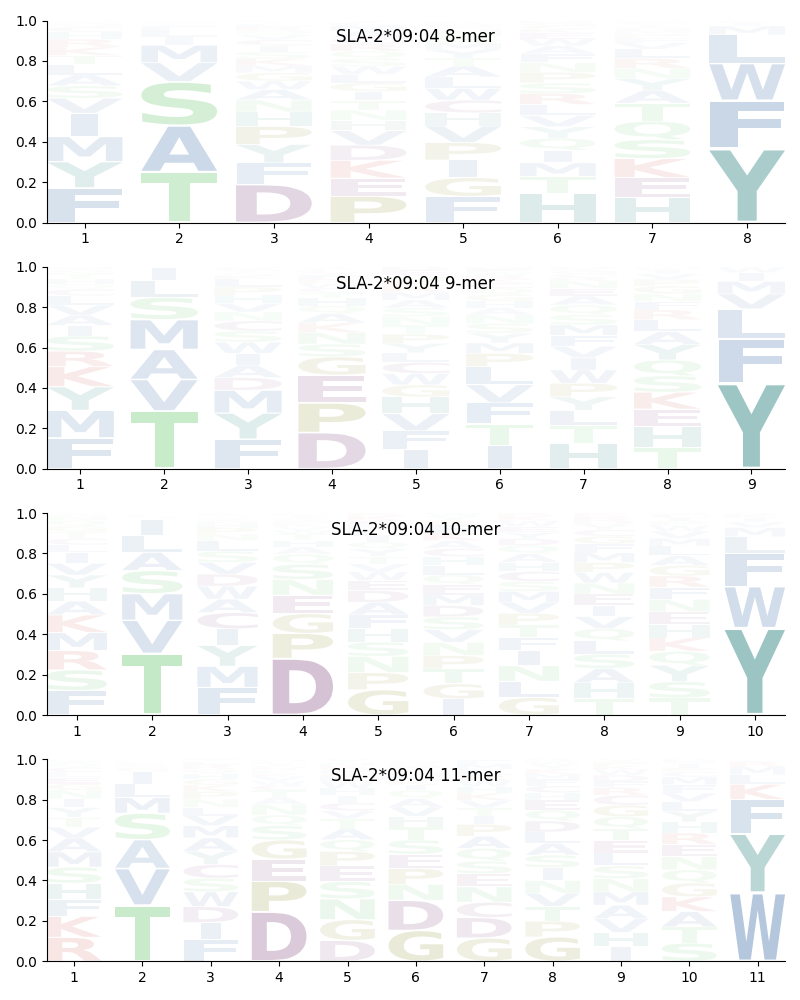 SLA-2*09:04 motif