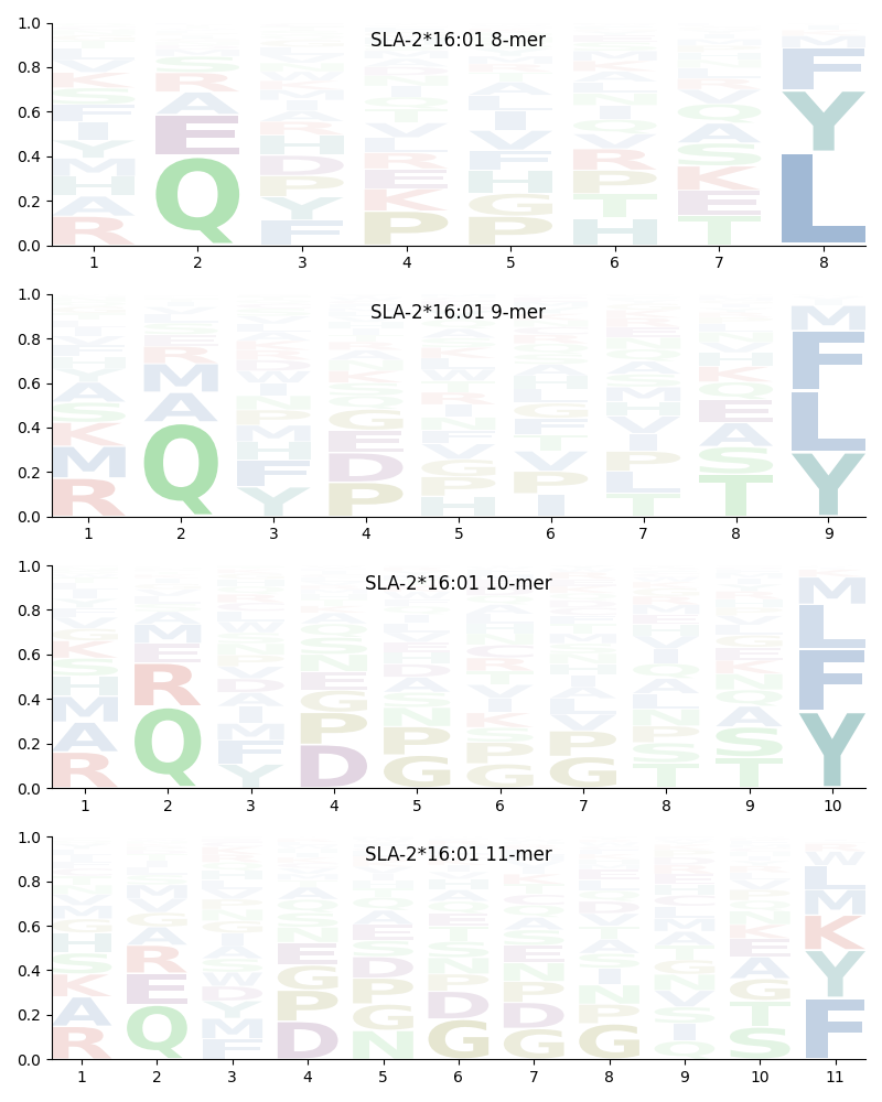 SLA-2*16:01 motif