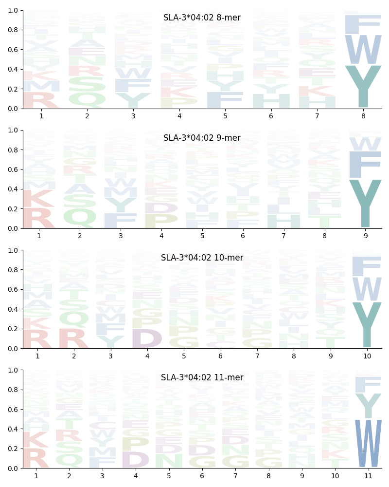 SLA-3*04:02 motif