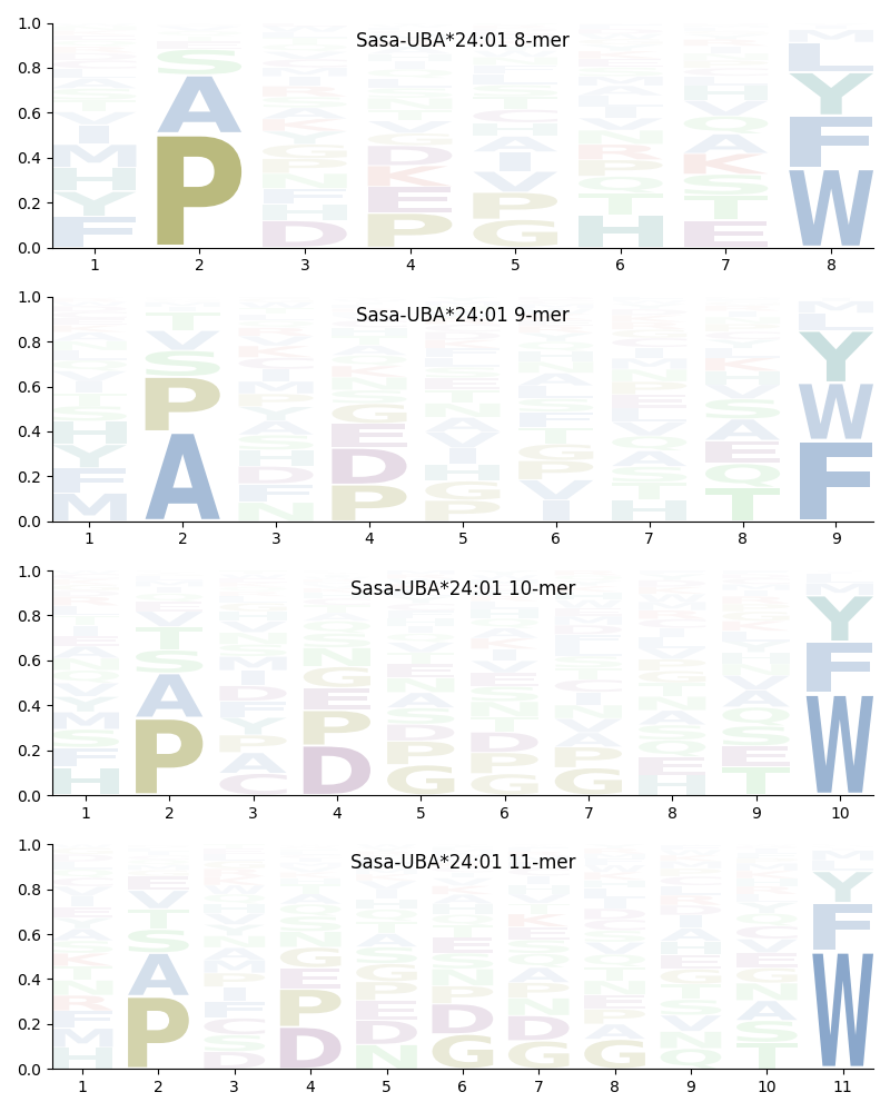 Sasa-UBA*24:01 motif